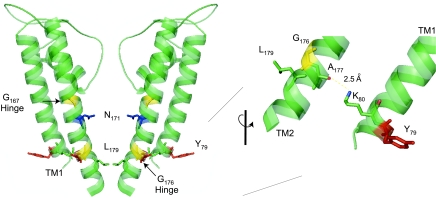 Fig. 5.