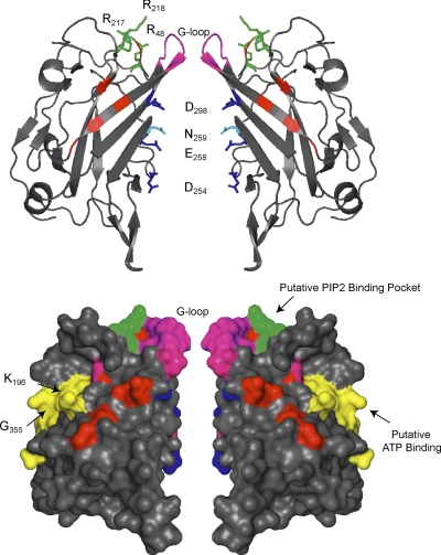 Fig. 6.