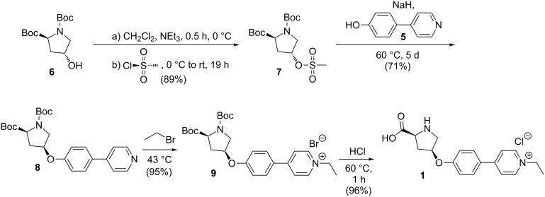 Scheme 3