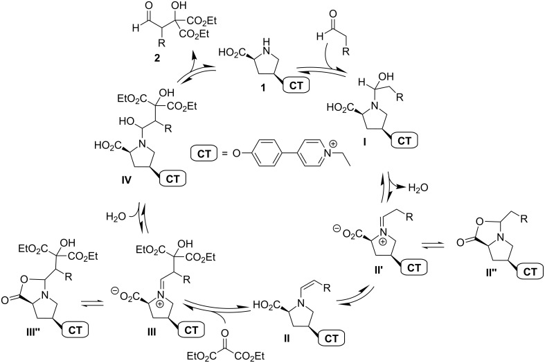 Scheme 4