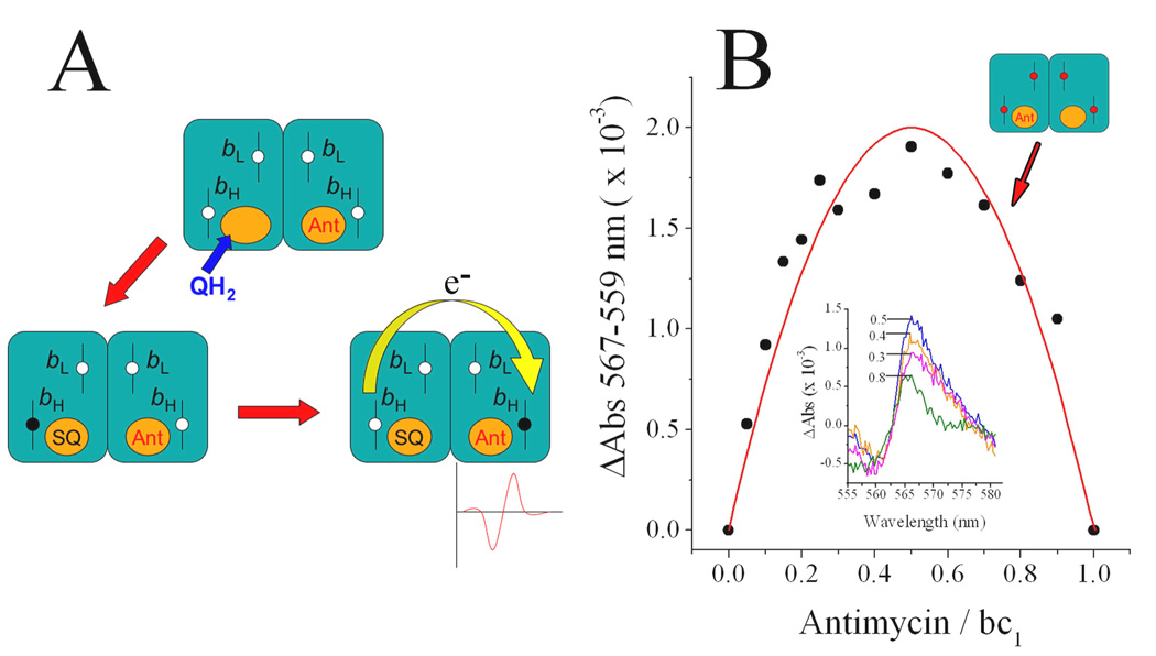 Fig. 10