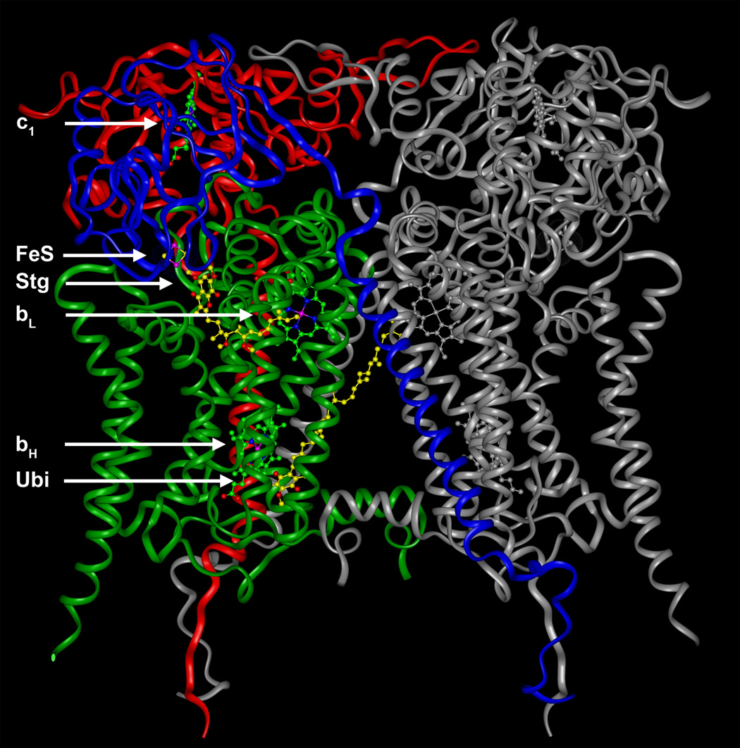 Fig. 1