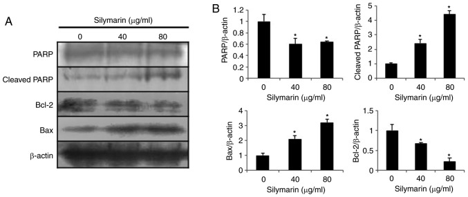 Figure 5.