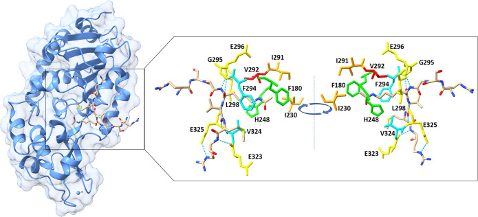 Figure 3