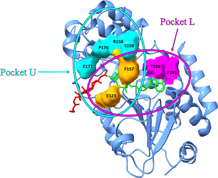 Figure 9