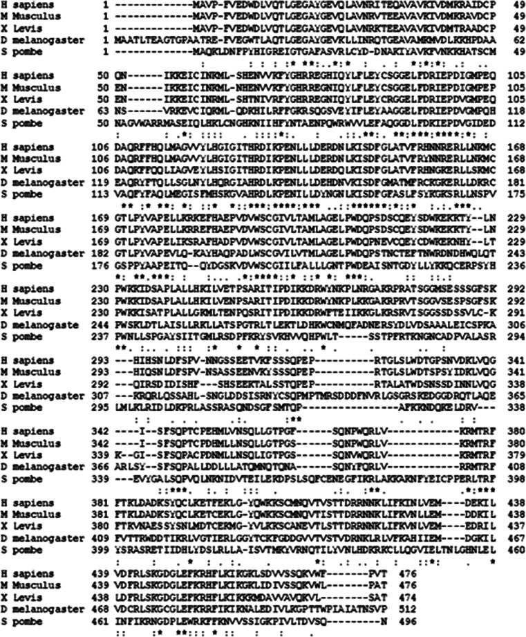 Fig. 7