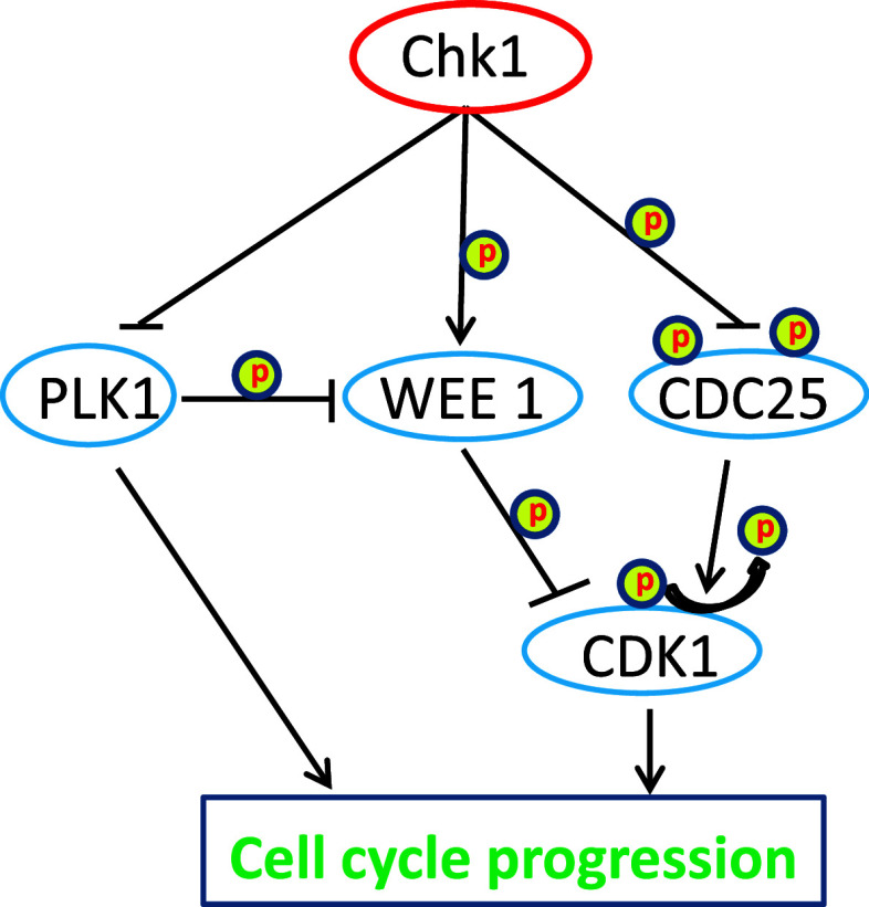 Fig. 4