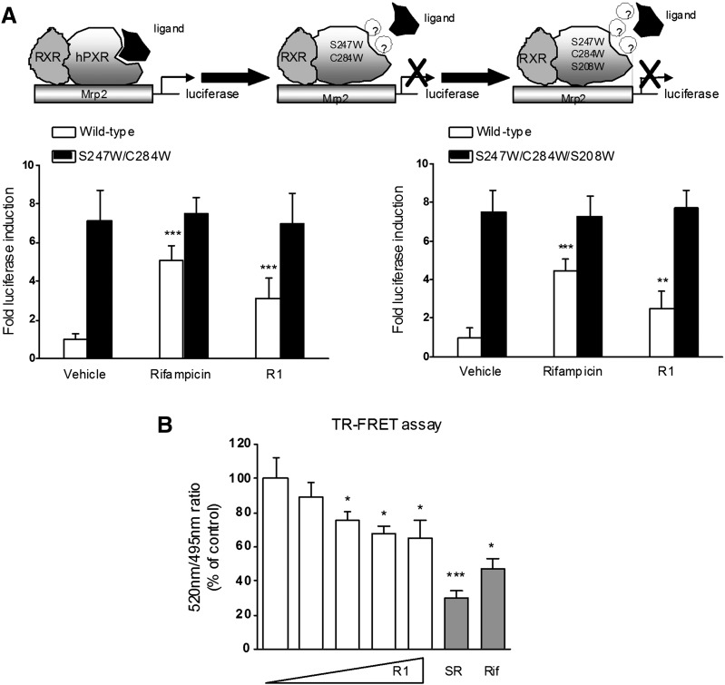 Fig. 6.