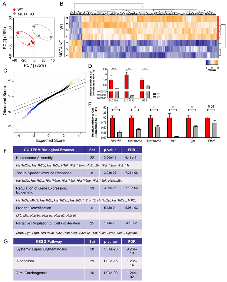 Figure 4: