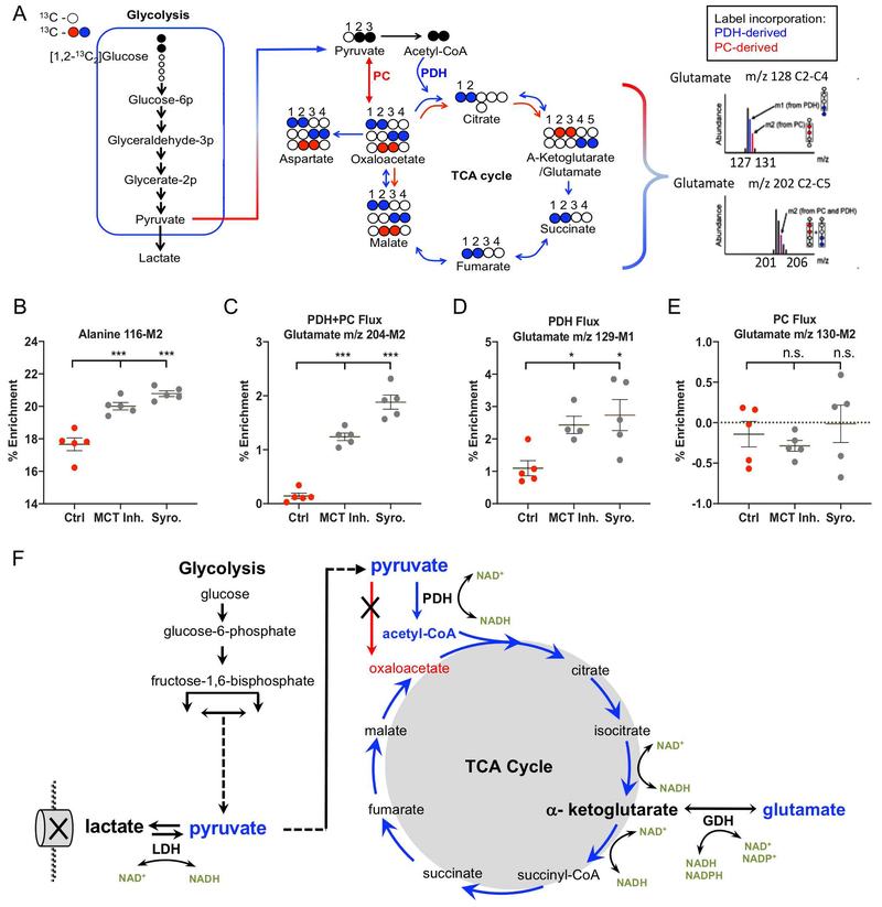 Figure 6: