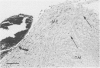 234