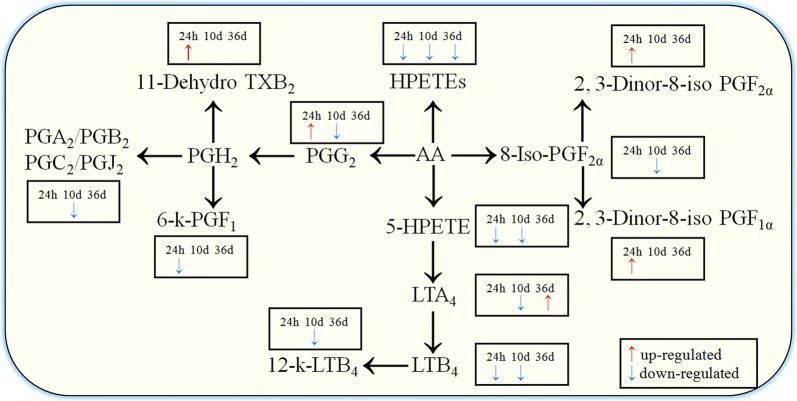 Fig. 6