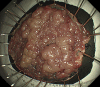 Figure 5
