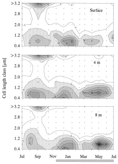 FIG. 1