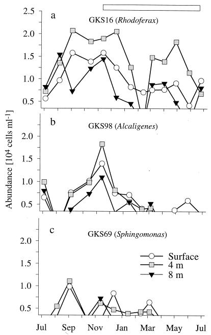 FIG. 6