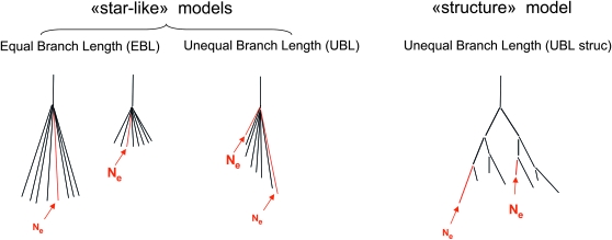 Figure 2.—