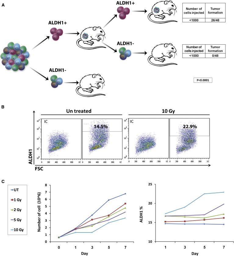 Figure 2