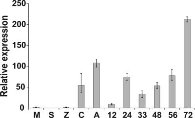 Fig. 3.