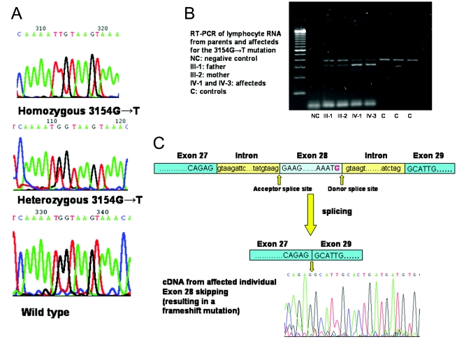 Figure  4