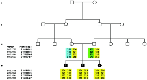 Figure  3