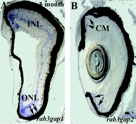 Figure  2