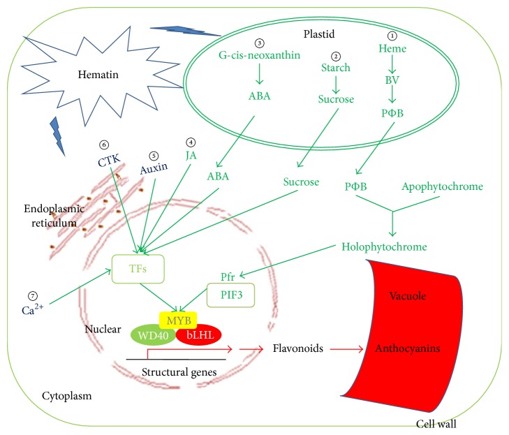 Figure 5