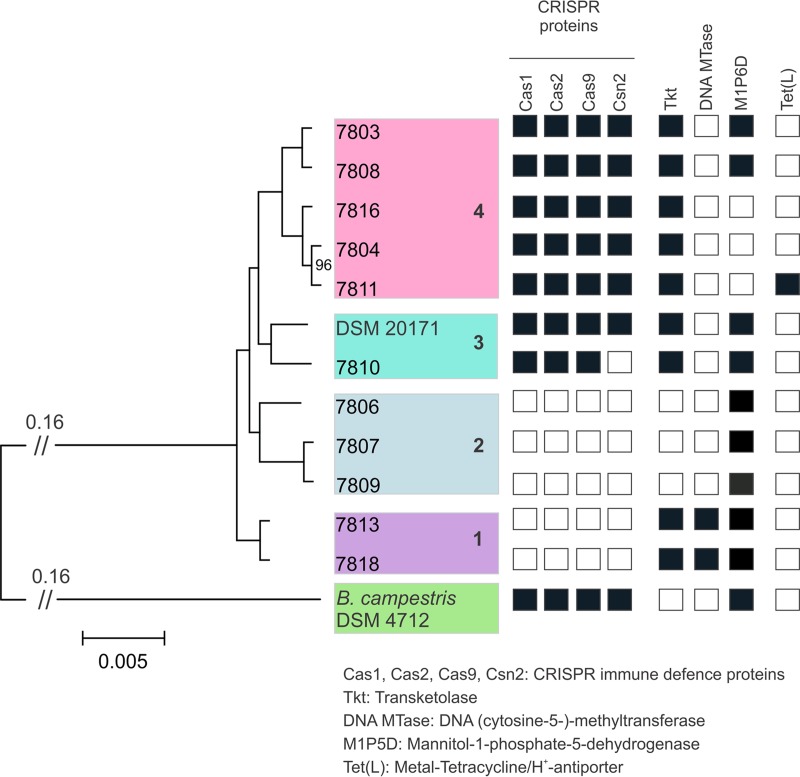 FIG 3