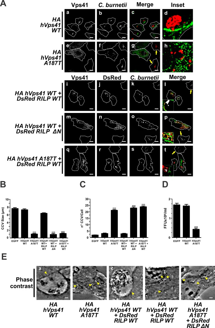 Fig 6