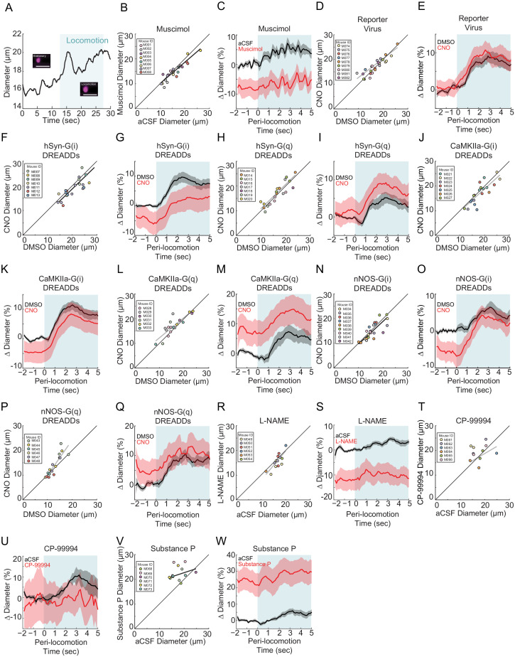 Figure 1—figure supplement 2.