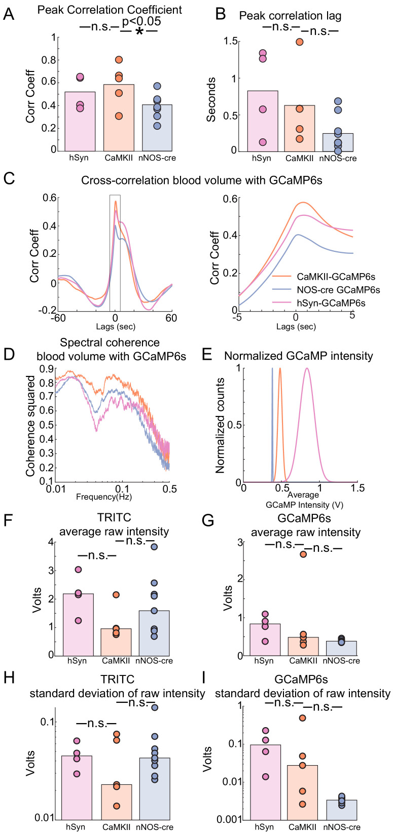 Figure 7—figure supplement 2.