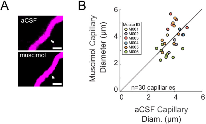 Figure 1—figure supplement 3.