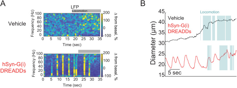 Figure 2—figure supplement 2.