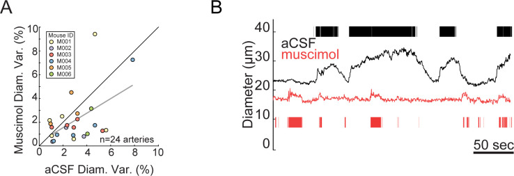 Figure 1—figure supplement 4.