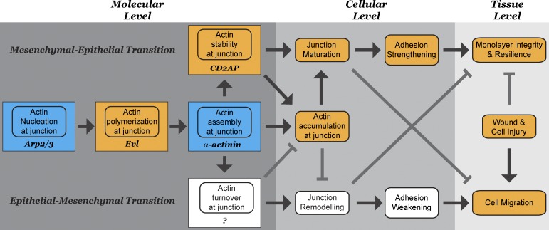 Figure 10.