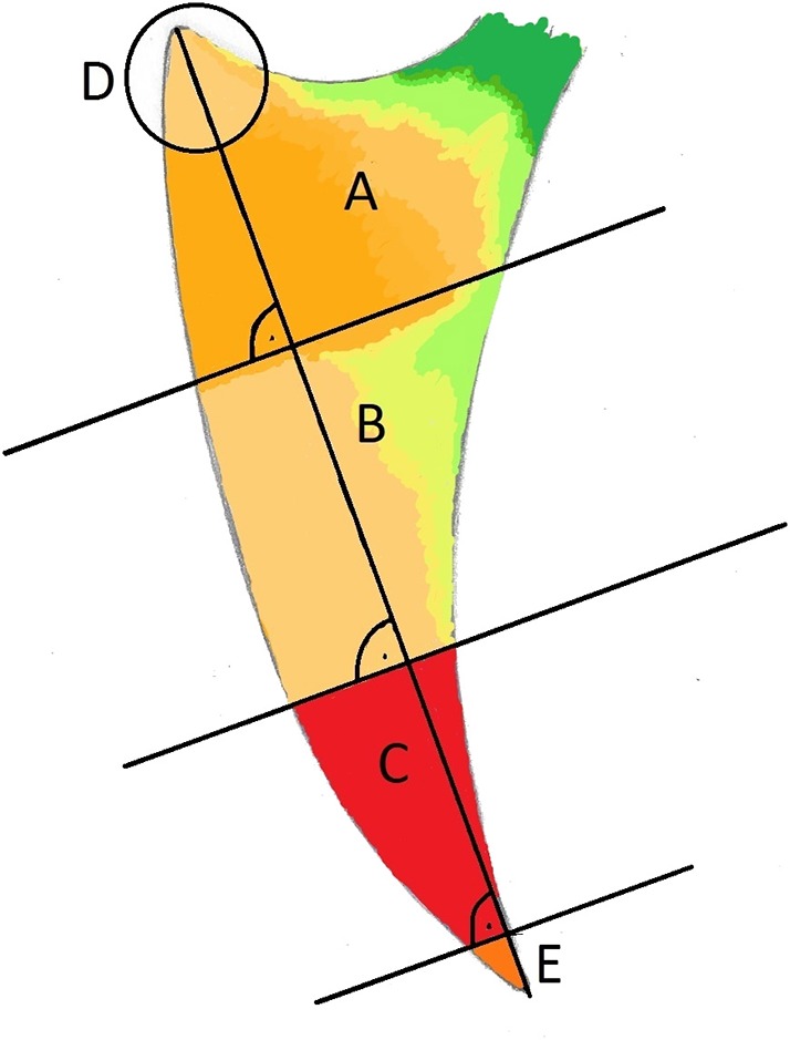 Figure 8