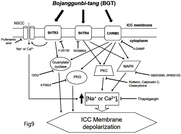 Figure 9