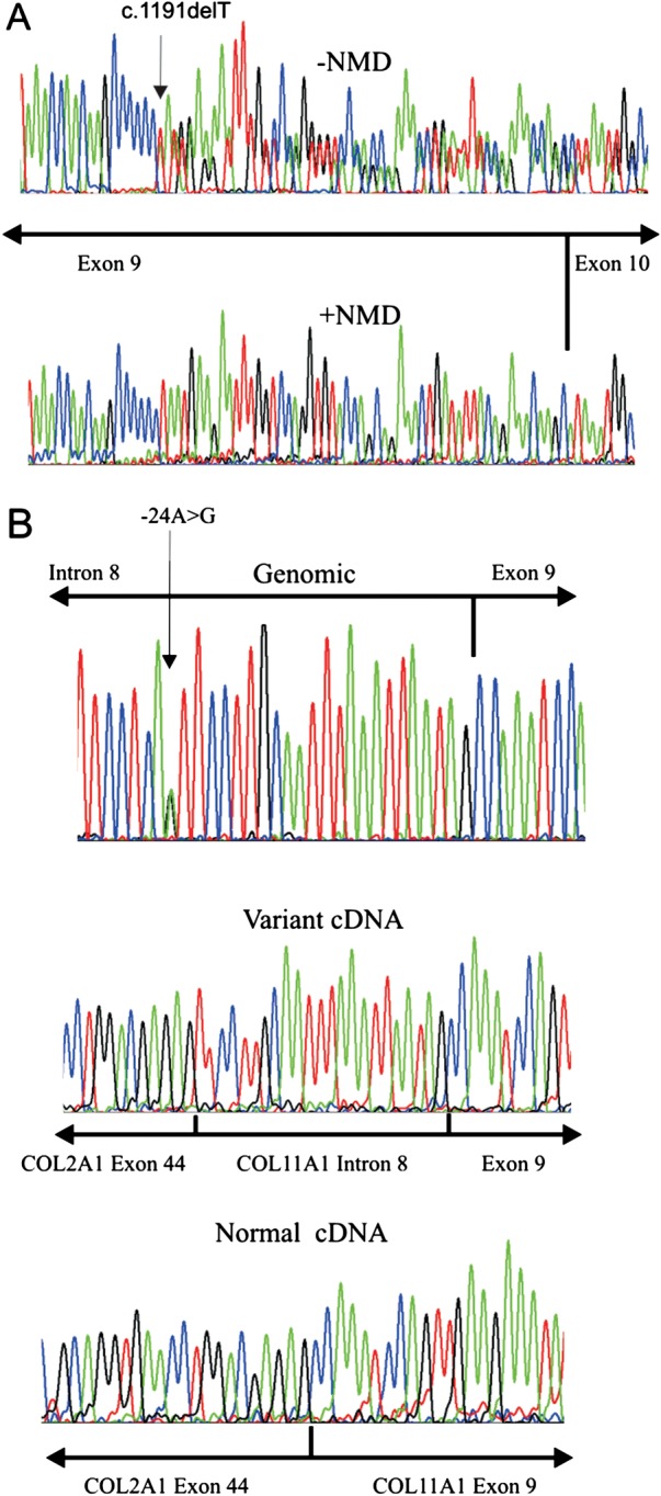 Figure 2