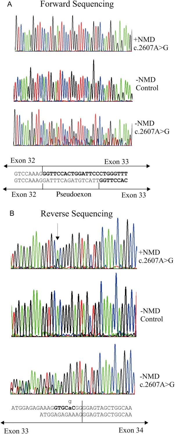 Figure 4