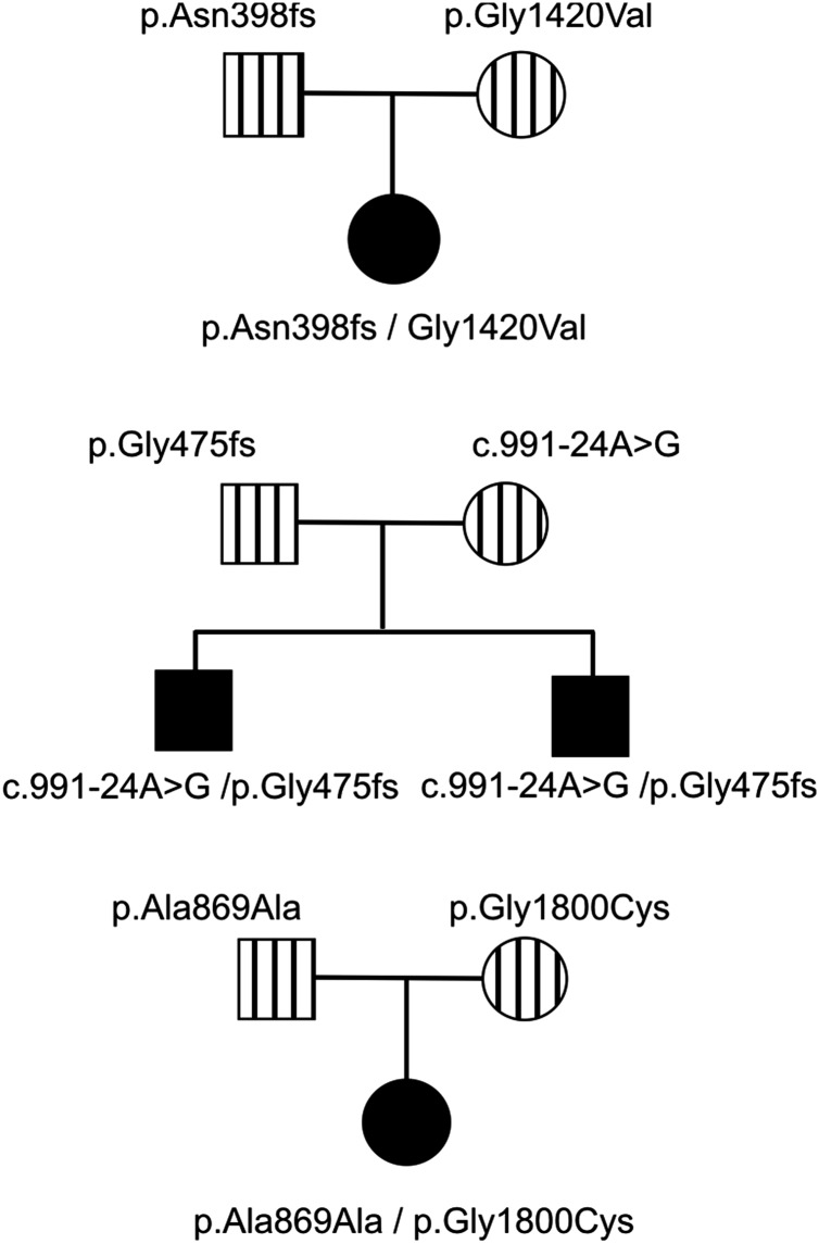 Figure 1