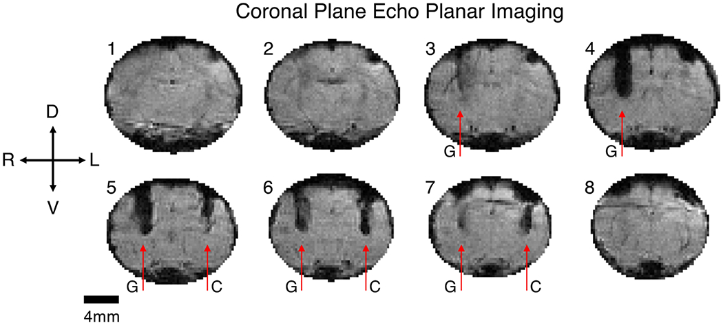 Figure 6.