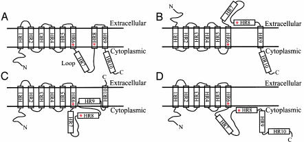 Fig. 1.