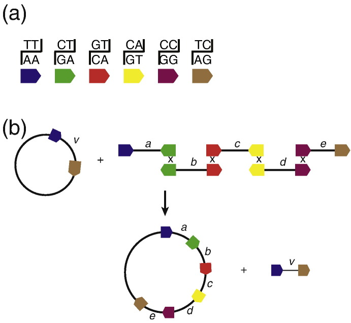 Fig. 4