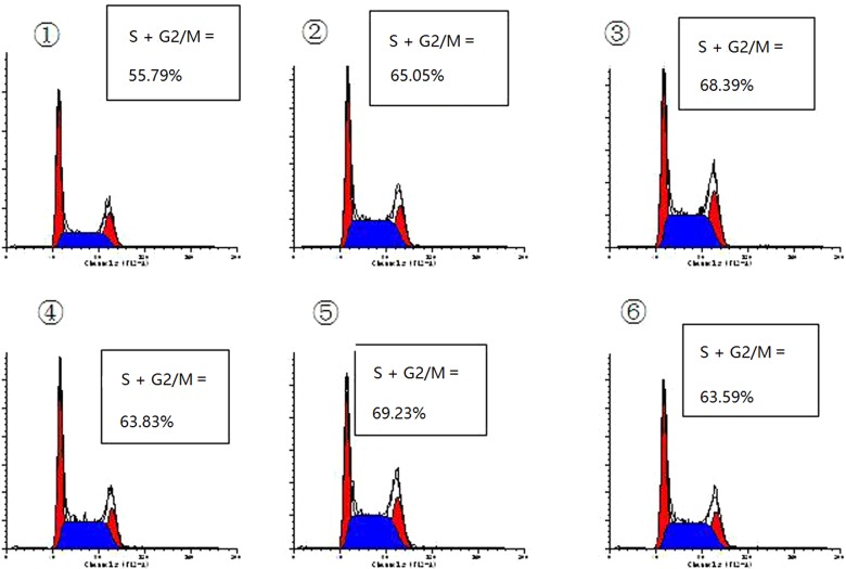 Figure 6