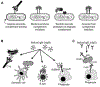 Figure2: