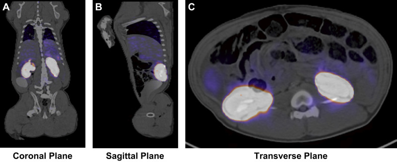 Fig. 4.