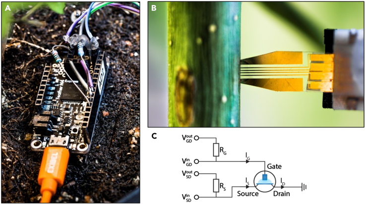 Figure 3