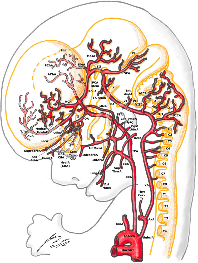 Fig. 7