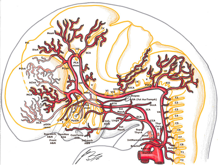 Fig. 6