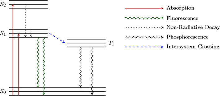 FIGURE 1