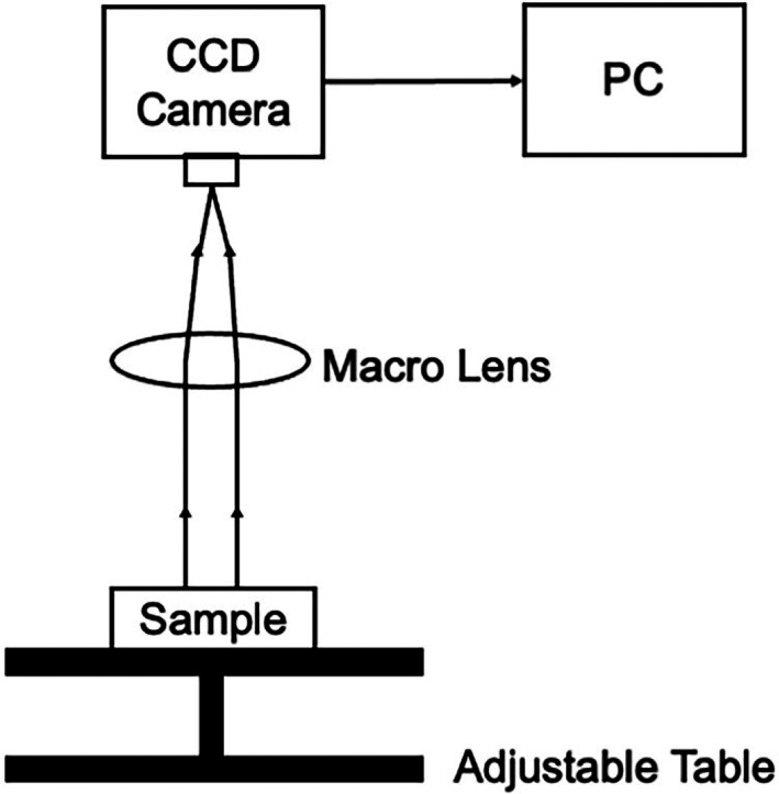 FIGURE 2